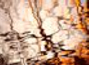 Reflection IV